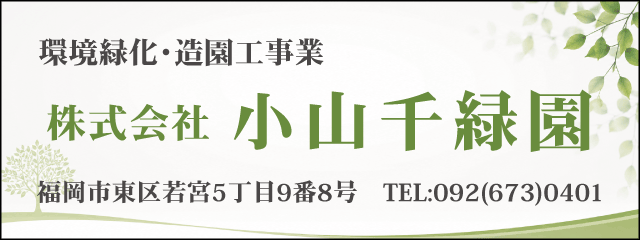 香椎高校55回生